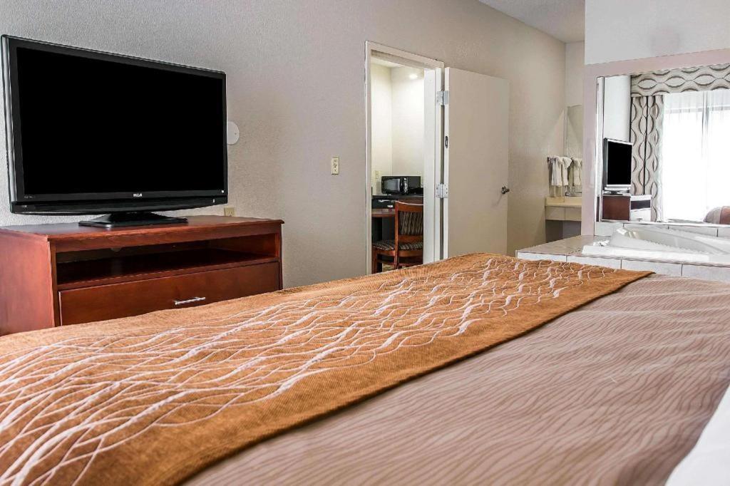 Comfort Inn & Suites University South Енн-Арбор Екстер'єр фото