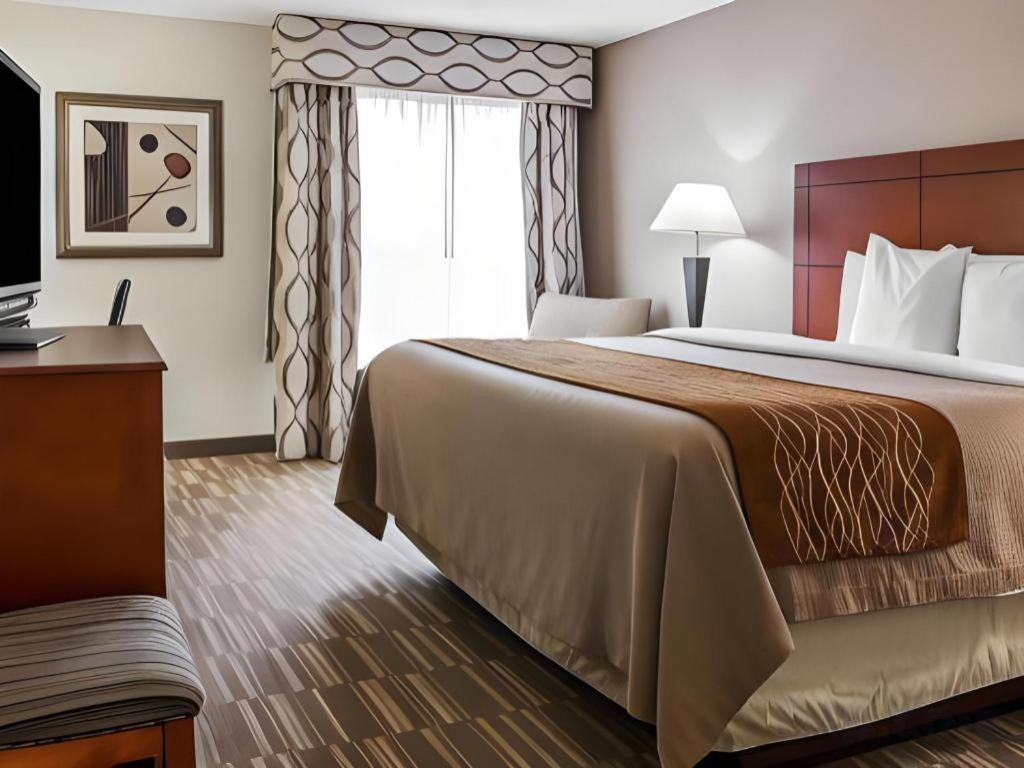Comfort Inn & Suites University South Енн-Арбор Екстер'єр фото