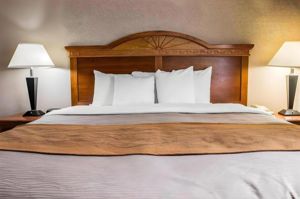 Comfort Inn & Suites University South Енн-Арбор Екстер'єр фото