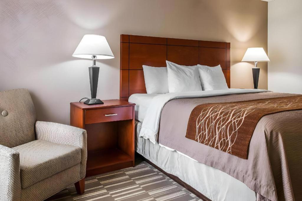 Comfort Inn & Suites University South Енн-Арбор Екстер'єр фото