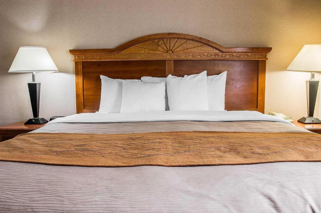 Comfort Inn & Suites University South Енн-Арбор Екстер'єр фото