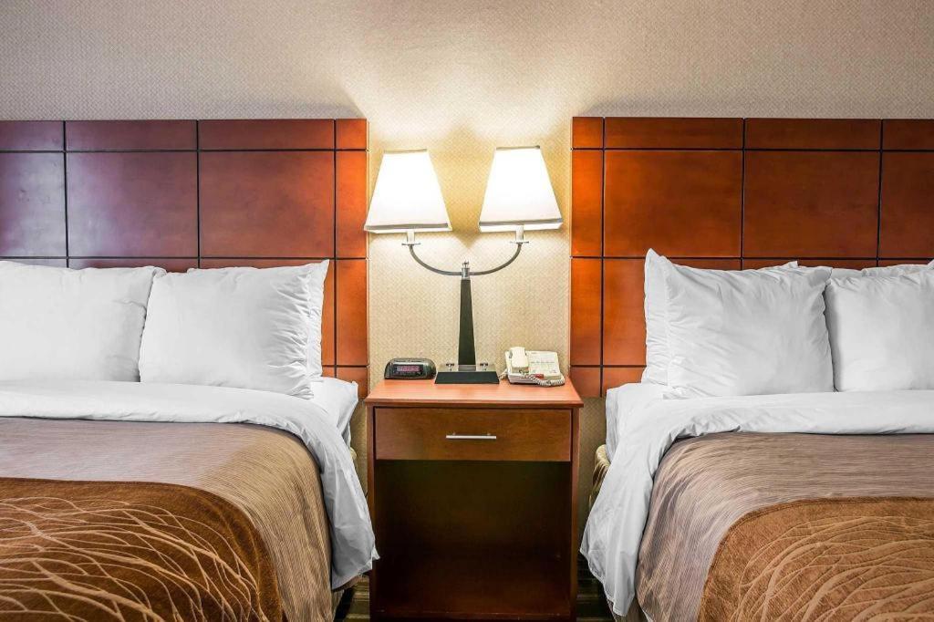 Comfort Inn & Suites University South Енн-Арбор Екстер'єр фото