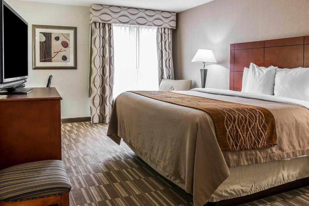 Comfort Inn & Suites University South Енн-Арбор Екстер'єр фото