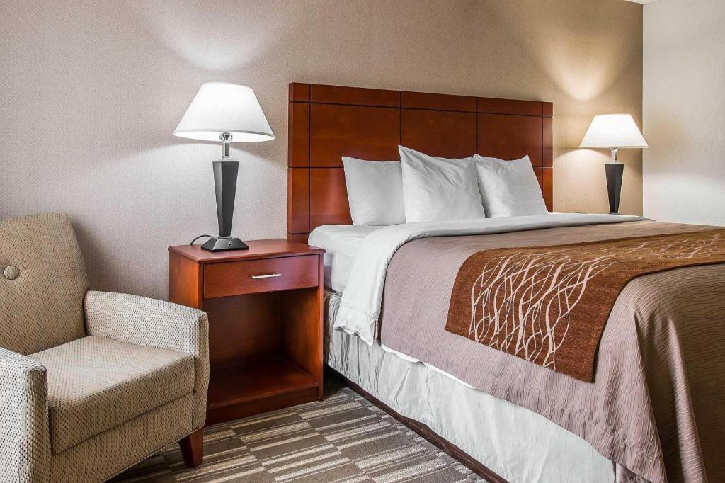 Comfort Inn & Suites University South Енн-Арбор Екстер'єр фото