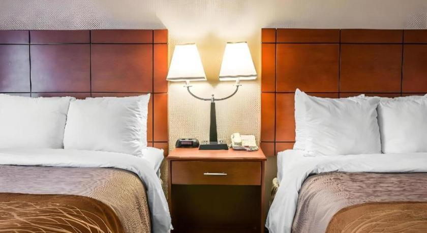 Comfort Inn & Suites University South Енн-Арбор Екстер'єр фото