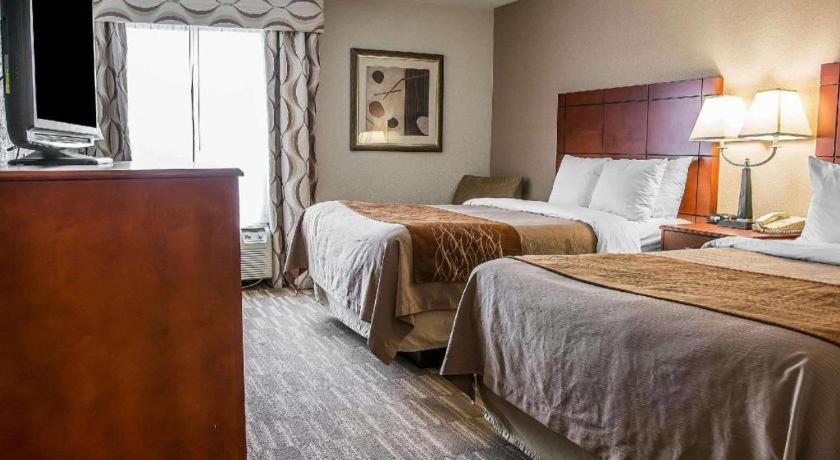 Comfort Inn & Suites University South Енн-Арбор Екстер'єр фото