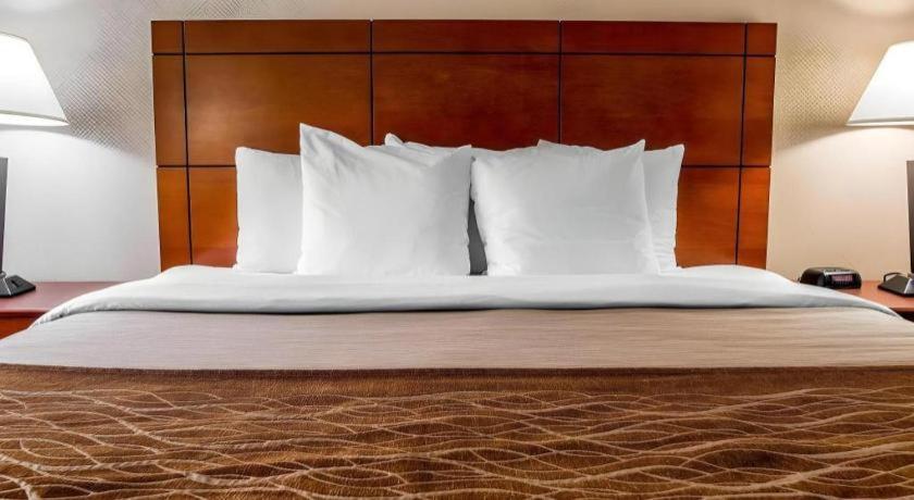 Comfort Inn & Suites University South Енн-Арбор Екстер'єр фото