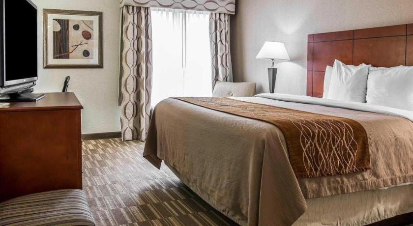 Comfort Inn & Suites University South Енн-Арбор Екстер'єр фото