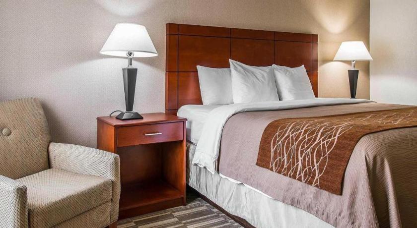 Comfort Inn & Suites University South Енн-Арбор Екстер'єр фото
