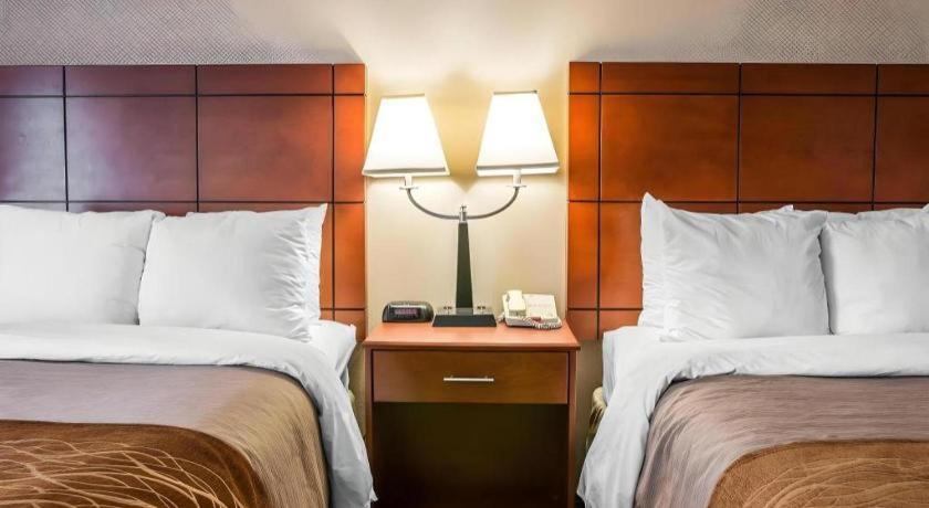 Comfort Inn & Suites University South Енн-Арбор Екстер'єр фото